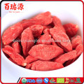 Gojy berry fruta goji berry